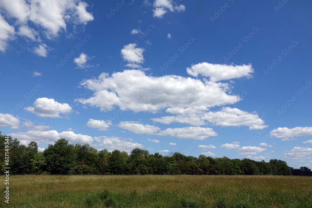 Wiese mit Wolkenhimmel