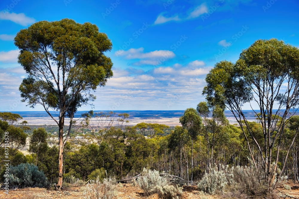 Panoramic view from Beacon Hill in Norseman, Western Australia, across the salt lake Lake Cowan and the empty country of the Great Western Woodlands.
Panoramic view from Beacon Hill in Norseman, Western Australia, across the salt lake Lake Cowan and the empty country of the Great Western Woodlands.