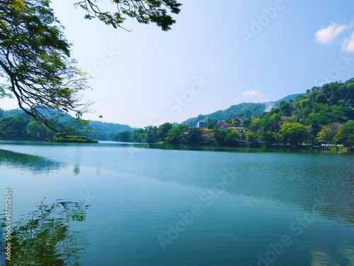 lake in the forest