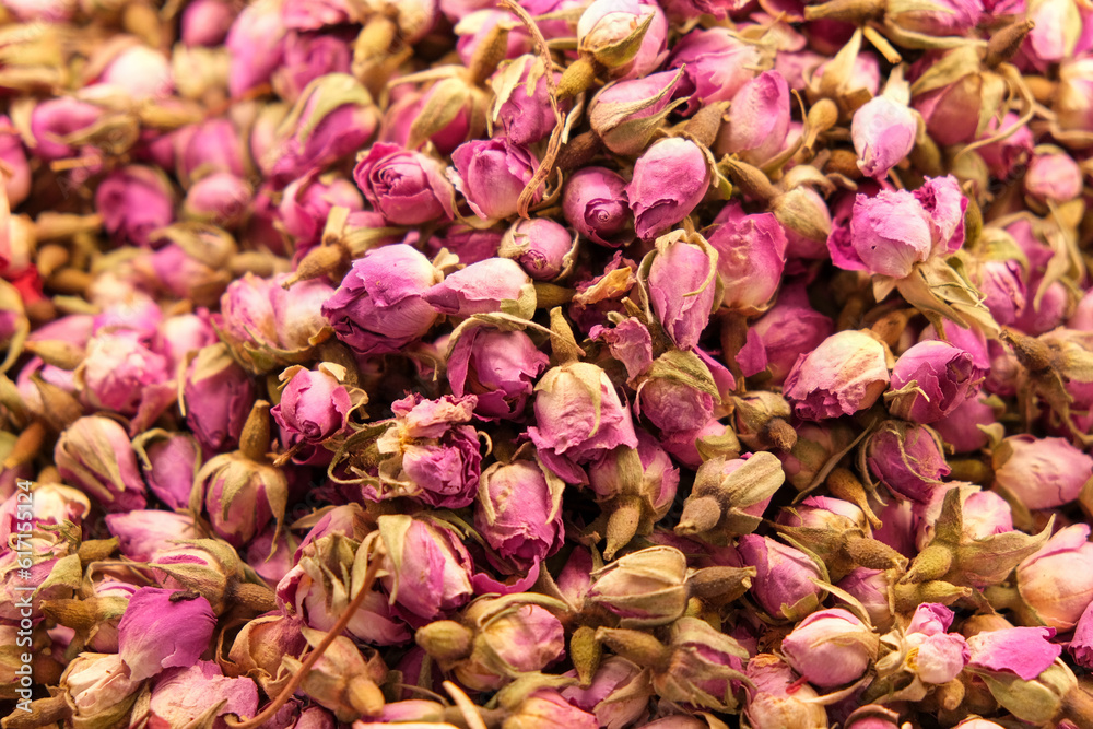 Close up dry pink rose with green leaves background wallpaper. Ingredients for natural cosmetics, oils and jams. Beautiful pink floral background. Close up dry pink rose with green leaves background wallpaper. Ingredients for natural cosmetics, oils and jams. Beautiful pink floral background.