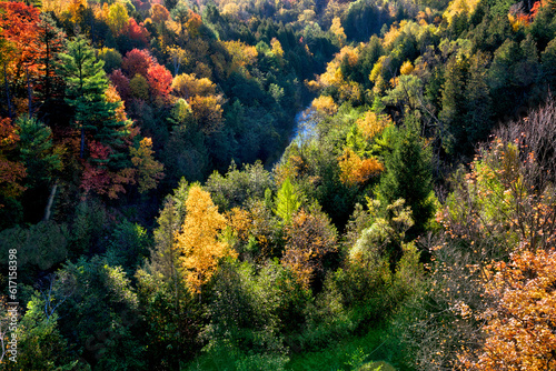 Aerial view of colourful autumn forest and river valley
