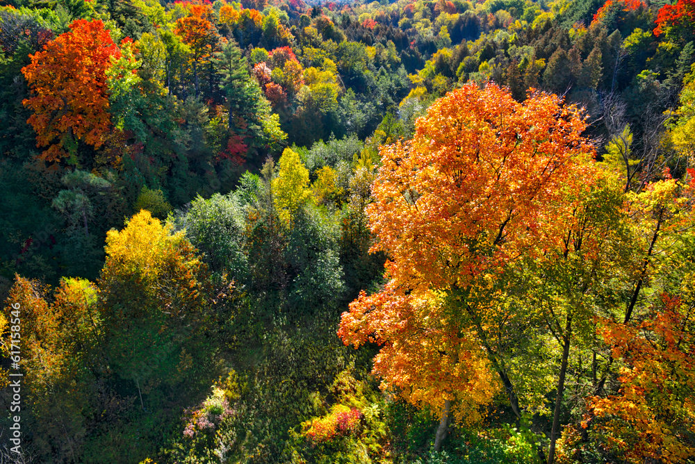 Aerial view of the valley of a National Park in autumn.