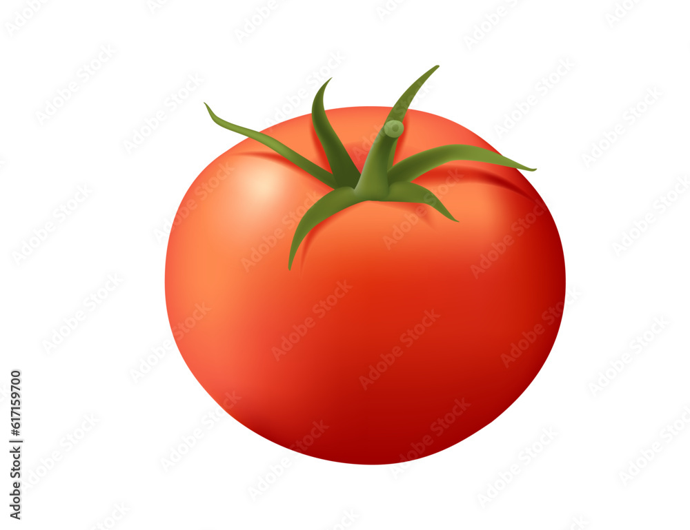 Realistic style whole sweet tasty tomato vegetable with green leaves vector illustration isolated on white background Realistic style whole sweet tasty tomato vegetable with green leaves vector illustration isolated on white background