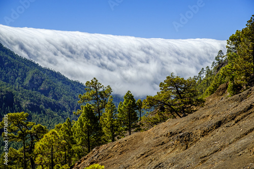 Clouds move over the mountain slope of Cumbre Nueva and flow into the valley like a waterfall, La Palma, Canary, Spain, Europe