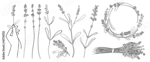 Hand drawn abstract lavendar plants with flowers and leaves, round border frame decoration for wedding invitation, greeting card