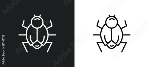 bugs line icon in white and black colors. bugs flat vector icon from bugs collection for web, mobile apps and ui.