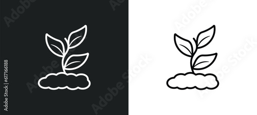 plant line icon in white and black colors. plant flat vector icon from plant collection for web, mobile apps and ui.
