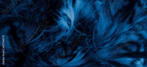 blue feathers of the owl with visible details