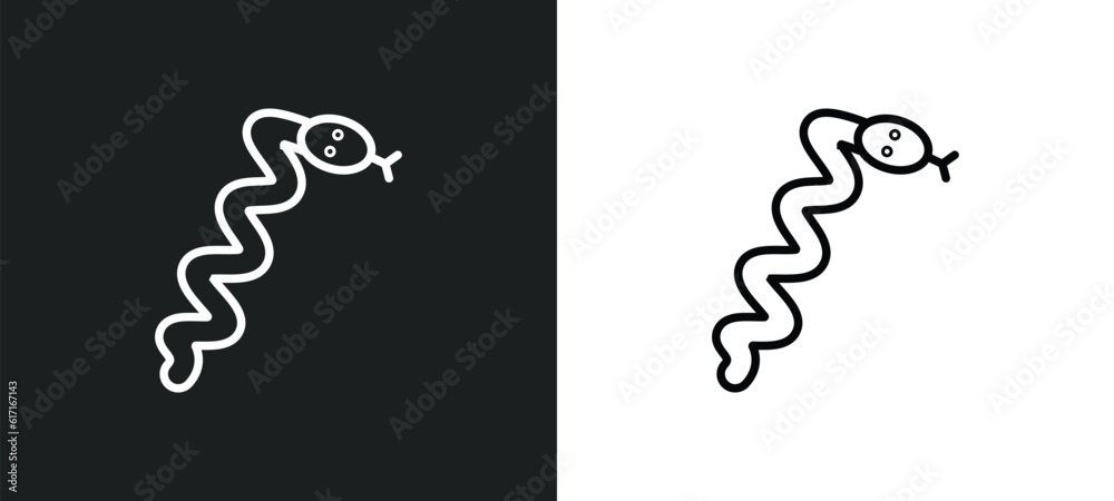 snake line icon in white and black colors. snake flat vector icon from snake collection for web, mobile apps and ui. snake line icon in white and black colors. snake flat vector icon from snake collection for web, mobile apps and ui.