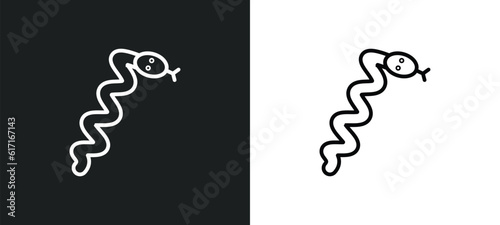 snake line icon in white and black colors. snake flat vector icon from snake collection for web, mobile apps and ui.