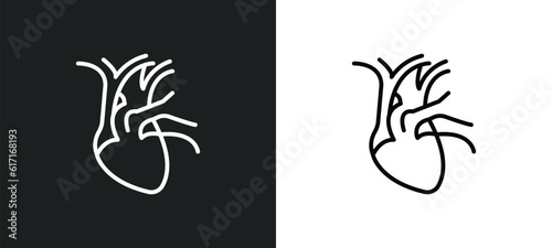 cardiovascular system line icon in white and black colors. cardiovascular system flat vector icon from cardiovascular system collection for web, mobile apps and ui.