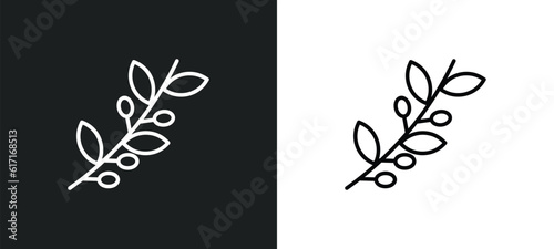 olive branch line icon in white and black colors. olive branch flat vector icon from olive branch collection for web, mobile apps and ui.