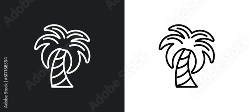 palm tree with date line icon in white and black colors. palm tree with date flat vector icon from palm tree with date collection for web, mobile apps and ui.