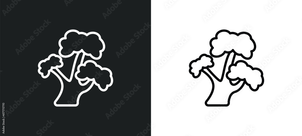 bitternut hickory tree line icon in white and black colors. bitternut hickory tree flat vector icon from bitternut hickory tree collection for web, mobile apps and ui. bitternut hickory tree line icon in white and black colors. bitternut hickory tree flat vector icon from bitternut hickory tree collection for web, mobile apps and ui.