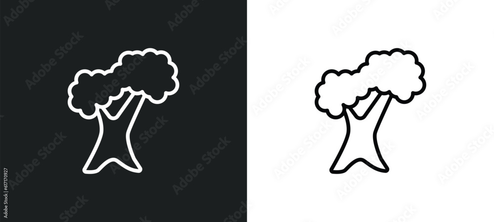 northern red oak tree line icon in white and black colors. northern red oak tree flat vector icon from northern red oak tree collection for web, mobile apps and ui.