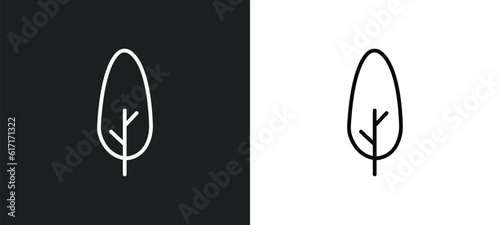 cypress line icon in white and black colors. cypress flat vector icon from cypress collection for web, mobile apps and ui.