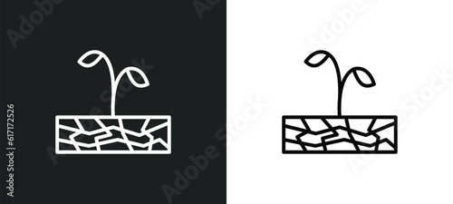 plant on drought line icon in white and black colors. plant on drought flat vector icon from plant on drought collection for web, mobile apps and ui.