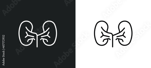 kidney line icon in white and black colors. kidney flat vector icon from kidney collection for web, mobile apps and ui.