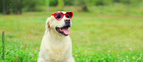 Portrait of Golden Retriever dog in red heart shaped sunglasses sitting on green grass in summer park