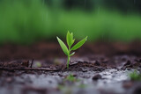 Green seedling growing on the ground in the rain. Concept of the save, generative ai