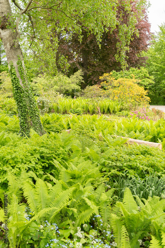 Beautiful plantation in a little park in Zurich in Switzerland