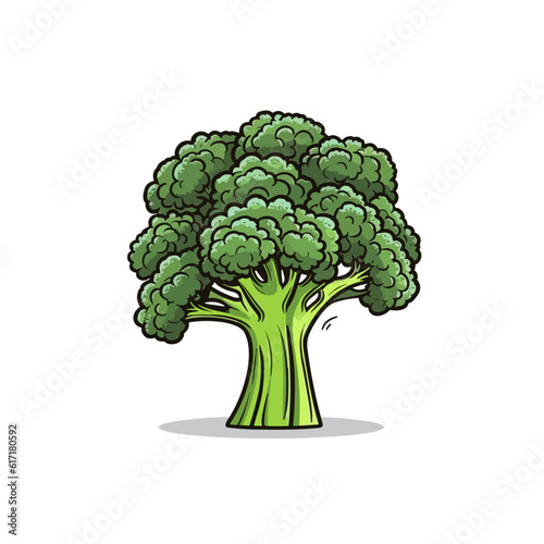 Broccoli hand-drawn illustration. Broccoli. Vector doodle style cartoon illustration