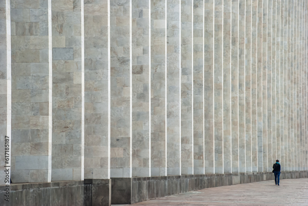 A person walking near a huge governmental building 