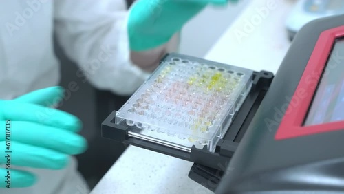 Scientist putting the microplate to the reader performing ELISA test for immunology analysis