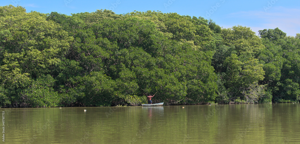 Rafting fisherman near mangroves in a salt water river