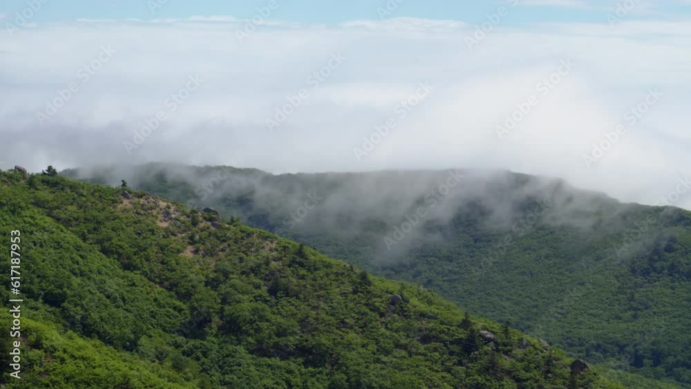 The fog flows over the ridge The fog flows over the ridge