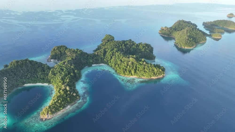 Calm seas surround the idyllic islands of Pisang off the coast of West Papua, Indonesia. This tropical region harbors extraordinary terrestrial and marine biodiversity.