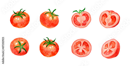赤色のトマトのセット 夏野菜の手描き水彩イラスト素材
