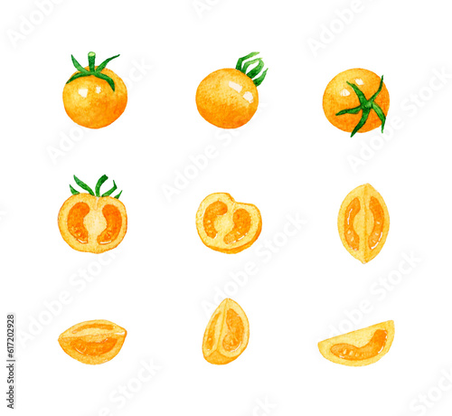 オレンジ色のプチトマトのセット 夏野菜の手描き水彩イラスト素材