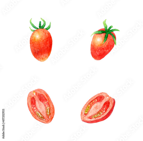 Fototapeta Naklejka Na Ścianę i Meble -  赤色のプチトマトのセット　夏野菜の手描き水彩イラスト素材