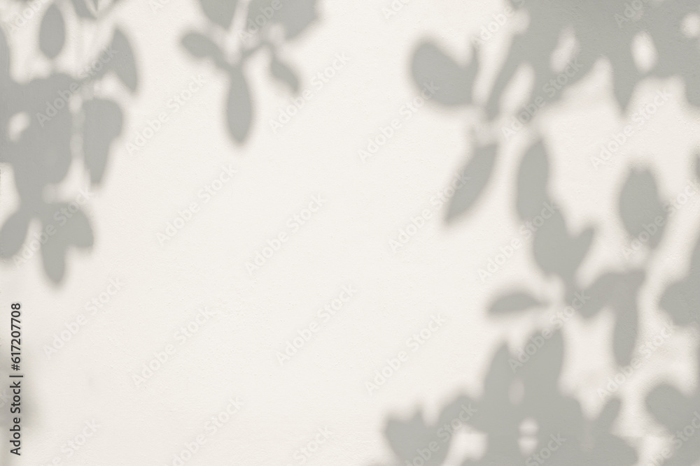 Leaf shadow and light on wall background. Nature tropical leaves tree branch and plant shade with sunlight from sunshine dappled on white wall texture for background wallpaper, shadow overlay effect Leaf shadow and light on wall background. Nature tropical leaves tree branch and plant shade with sunlight from sunshine dappled on white wall texture for background wallpaper, shadow overlay effect