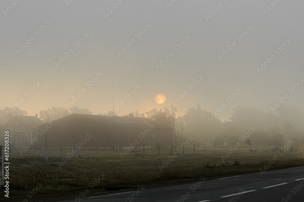 sunrise in the fog