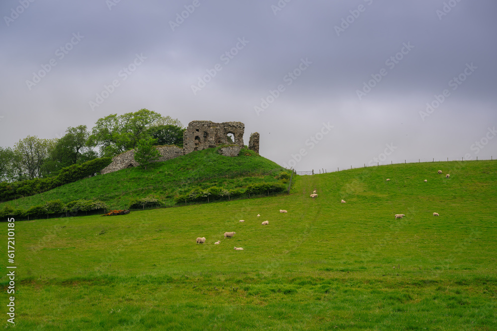 2023-06-05 LUSH GREEN FIELD WITH A RUIN OF A OLD CASTLE SHEEP AND A NICE SKY IN DORNOCH SCOTLAND