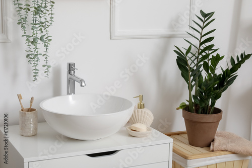 Sink bowl, bath accessories and houseplant in interior of bathroom