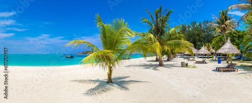 Photography Single palm tree on beach