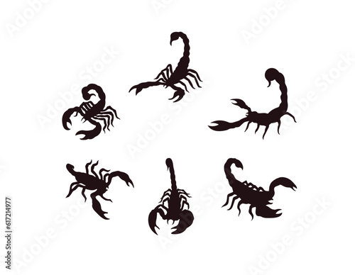 Vector scorpion silhouette on white background