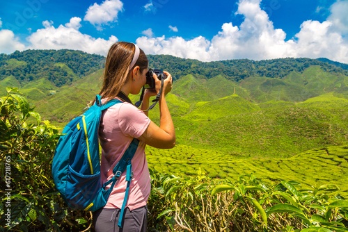 Photography Beautiful Tea plantations