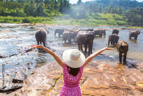 Canvas Print Woman and elephants in Sri Lanka