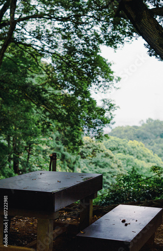 mountain view in summer season,tokyo