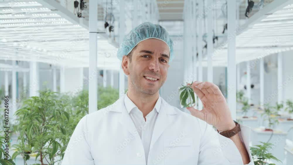 STEM leaf herb crop DNA class college study in smart farm plant