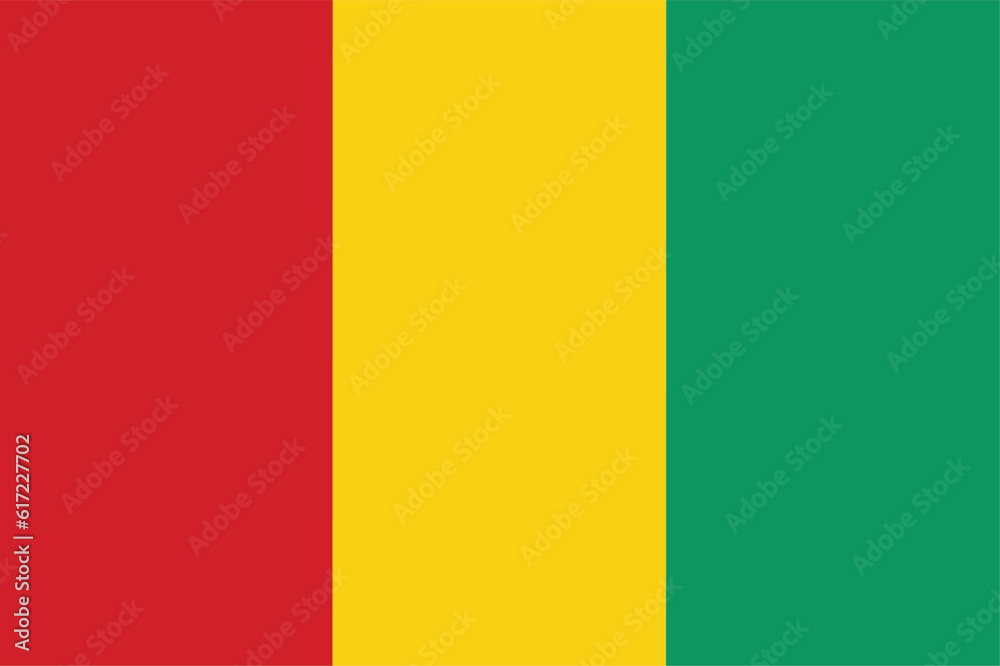 Fototapeta premium Guinea flag. flag of Guinea design shape