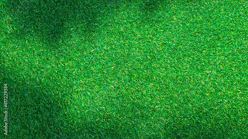 shadow on green grass background