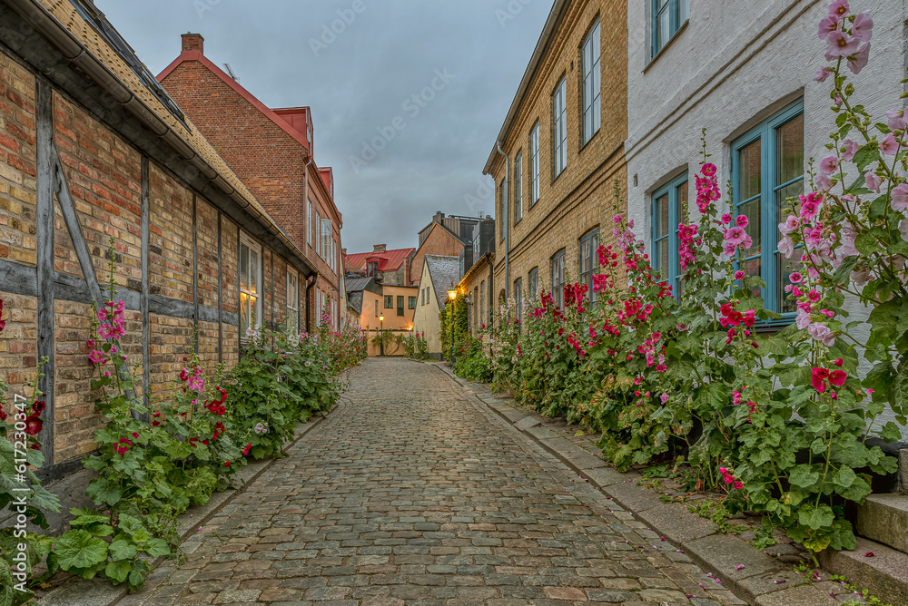 old cobblestone alleyway with half timbered houses and red hollyhocks in the evening