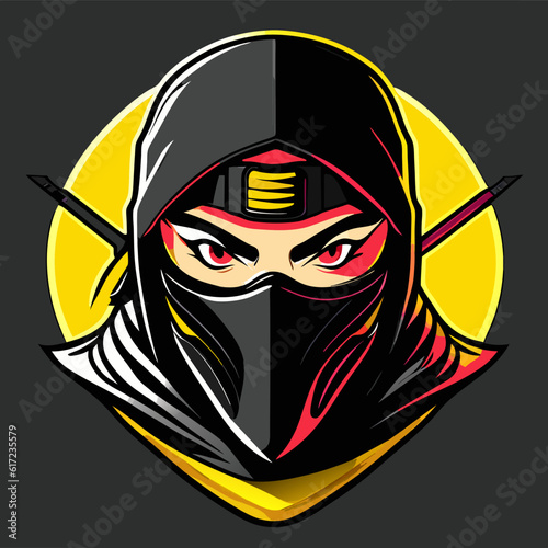 art ninja cartoon photo