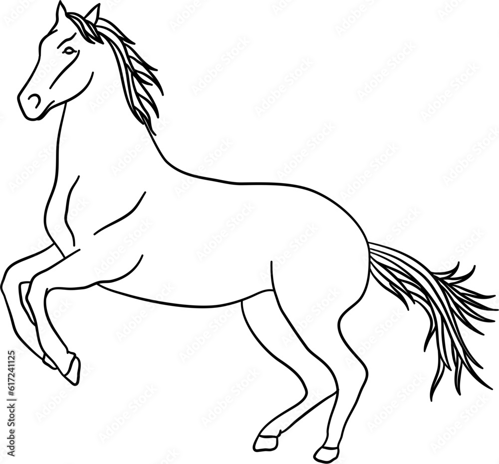 Wild Horse Outline Illustration Vector