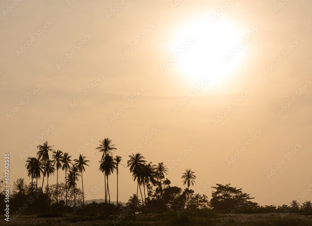 Obraz premium Silhouette of coconut trees in the golden sky as the sun is about to set